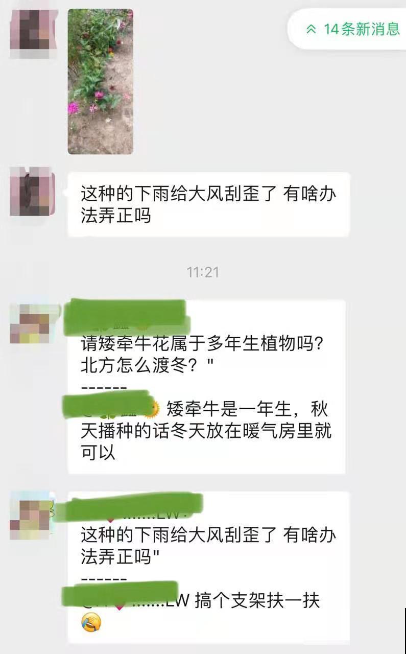 想进养花群,赶紧来看看,免费解答养花问题哦~ 想进养花群,赶紧来看看,免费解答养花问题哦~