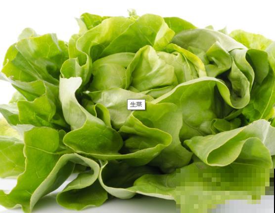 家里种植的生菜幼苗，全部瘦弱易倒伏，主要和这4点有关