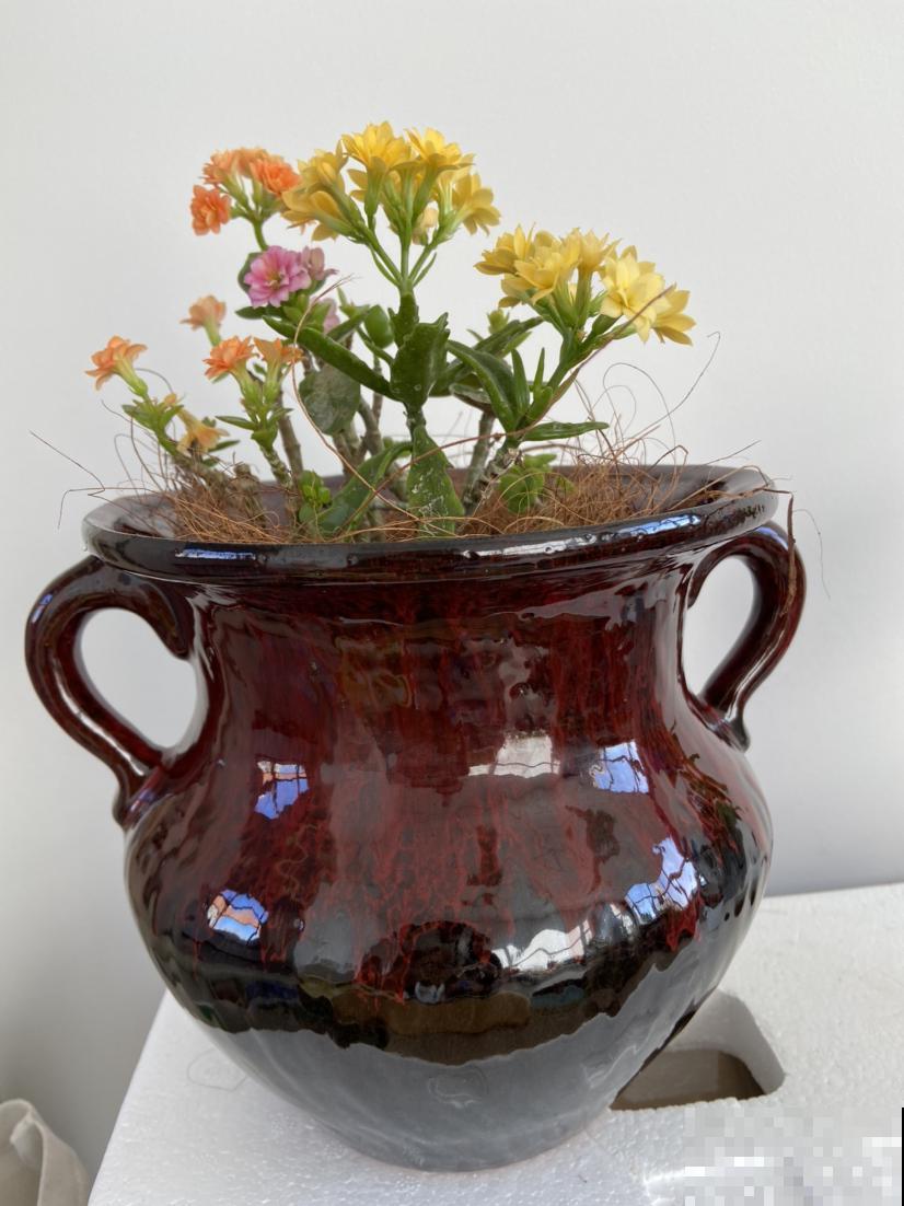 花盆要换盆的3个信号,多亏老花农告诫,难怪长势越来越旺 花盆要换盆的3个信号,多亏老花农告诫,难怪长势越来越旺