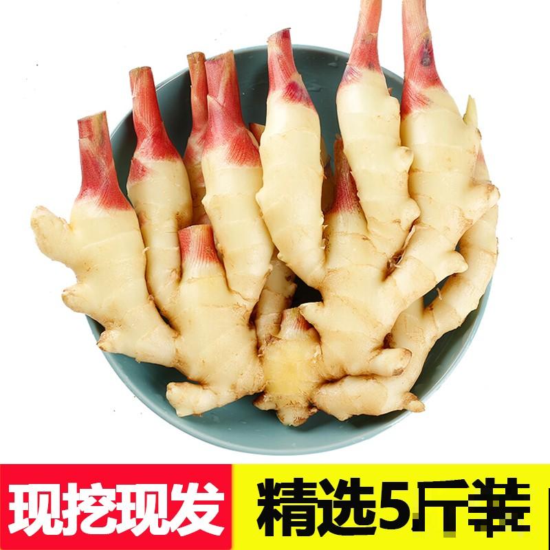 仔姜种植，注意这4点，长势差不了