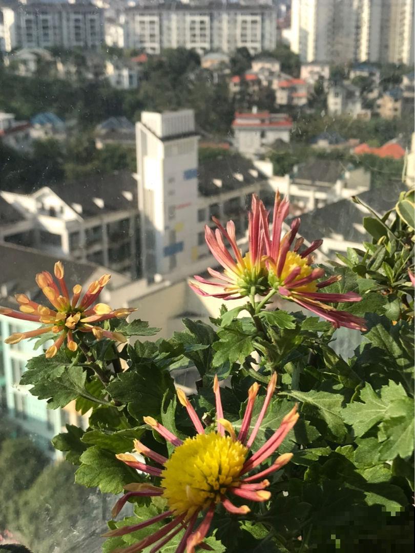 5大妙招,和失眠说拜拜,远离药物治疗 5大妙招,和失眠说拜拜,远离药物治疗