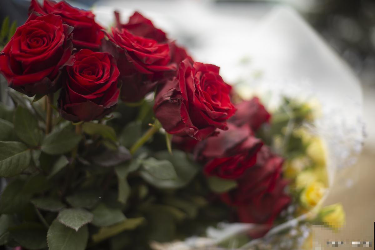 香水玫瑰的养殖方法和注意事项