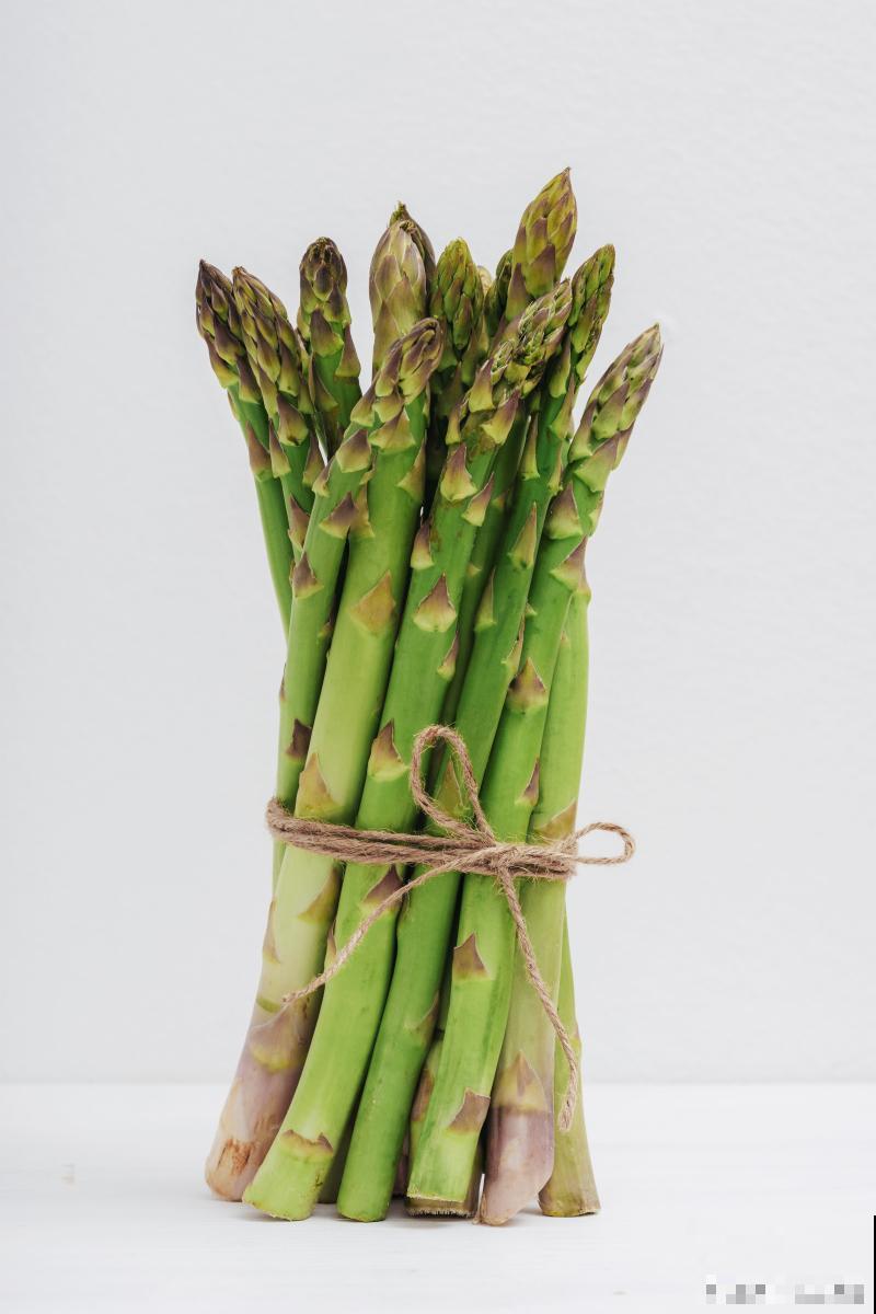 观叶的花卉有哪些