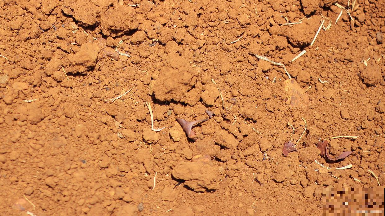 沙壤土怎么制作？