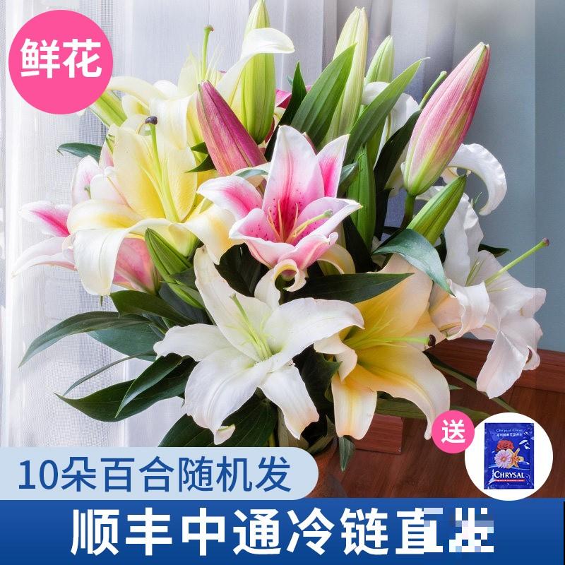 百合花水养，注意这4点，花开时间长