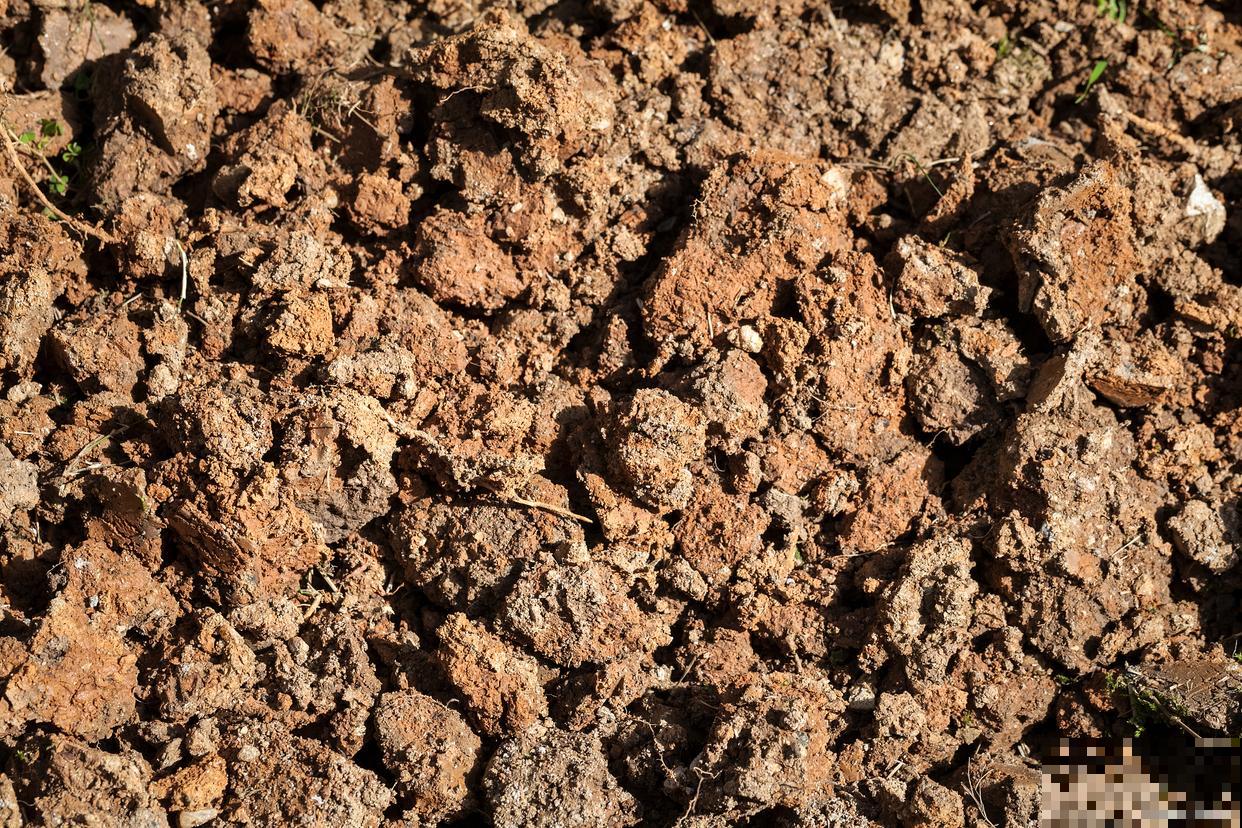 碱性土有哪些种类