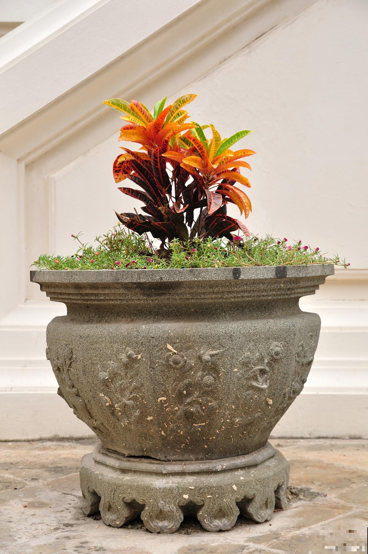 大花盆怎么换土? 大花盆怎么换土?