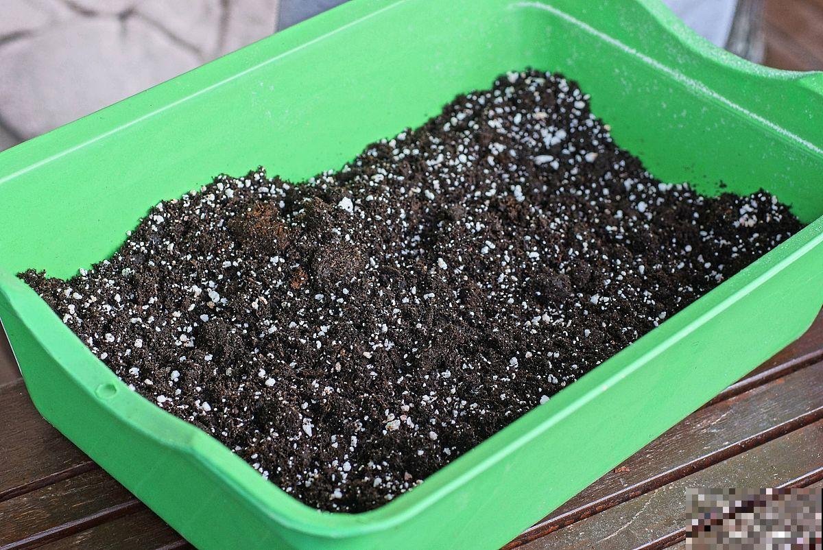 自制肥料如何不臭 自制肥料如何不臭