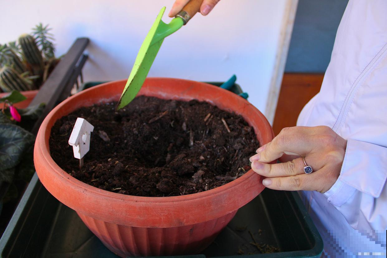 自制肥料如何不臭 自制肥料如何不臭