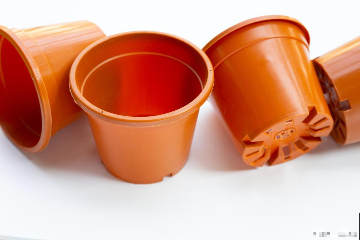 花盆土多久换一次 花盆土多久换一次