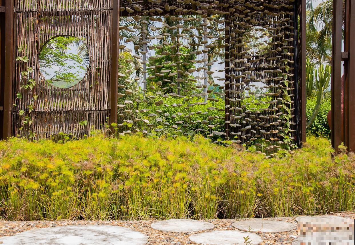 黄荆盆景的养殖方法和注意事项 黄荆盆景的养殖方法和注意事项