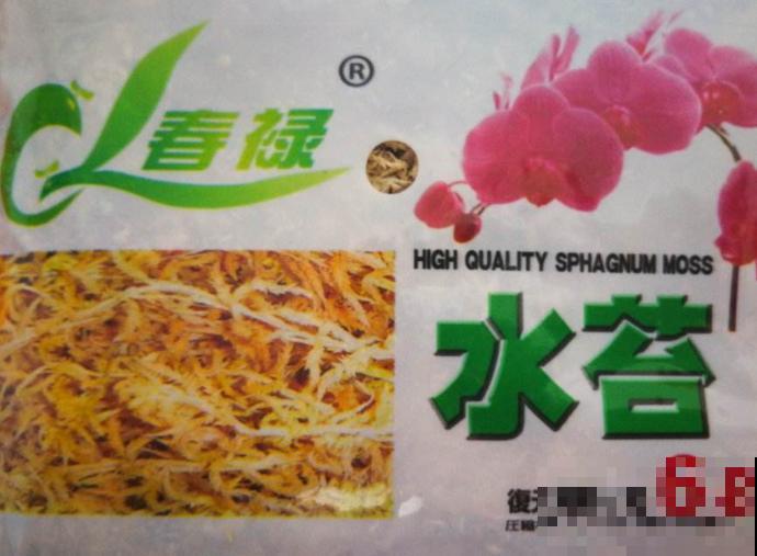 常见的养花水苔不要扔，主要有这2种用法，养花效果好