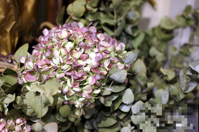 雅乐之舞如何换盆 雅乐之舞如何换盆