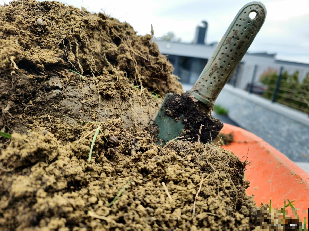 如何判断盆土积水 如何判断盆土积水