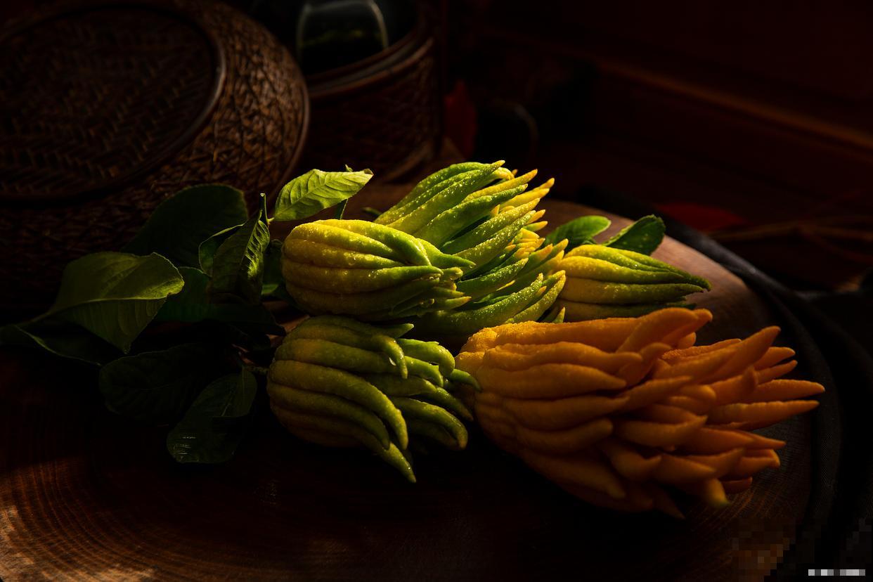 佛手如何种植的？