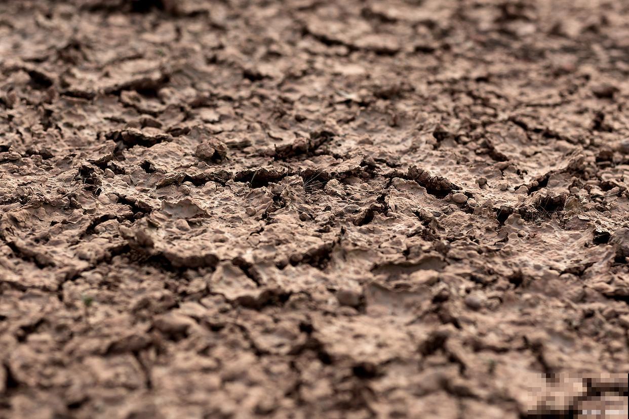 养花的土硬了怎么办