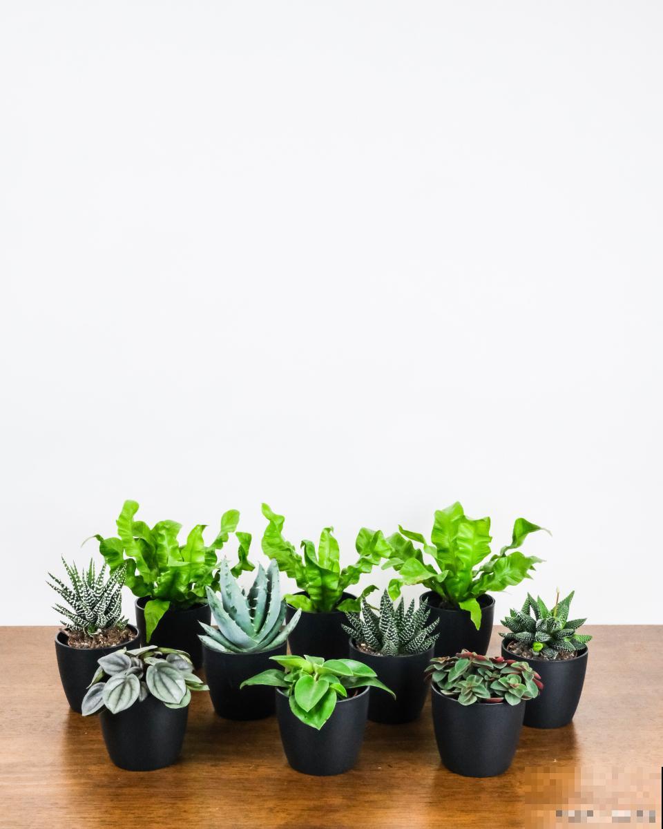 倒盆是什么意思？