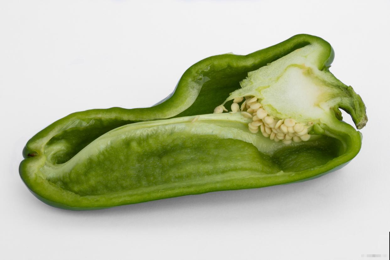 哪些种子需要催芽 哪些种子需要催芽