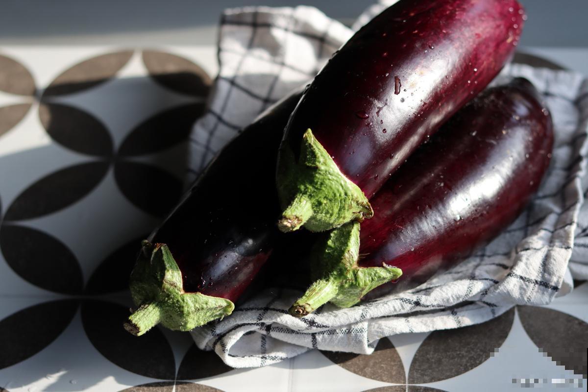 春天种植的蔬菜有哪些 春天种植的蔬菜有哪些