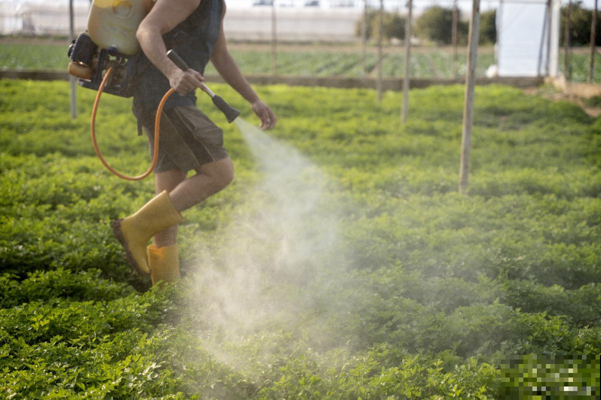 怎么给植物消毒? 怎么给植物消毒?