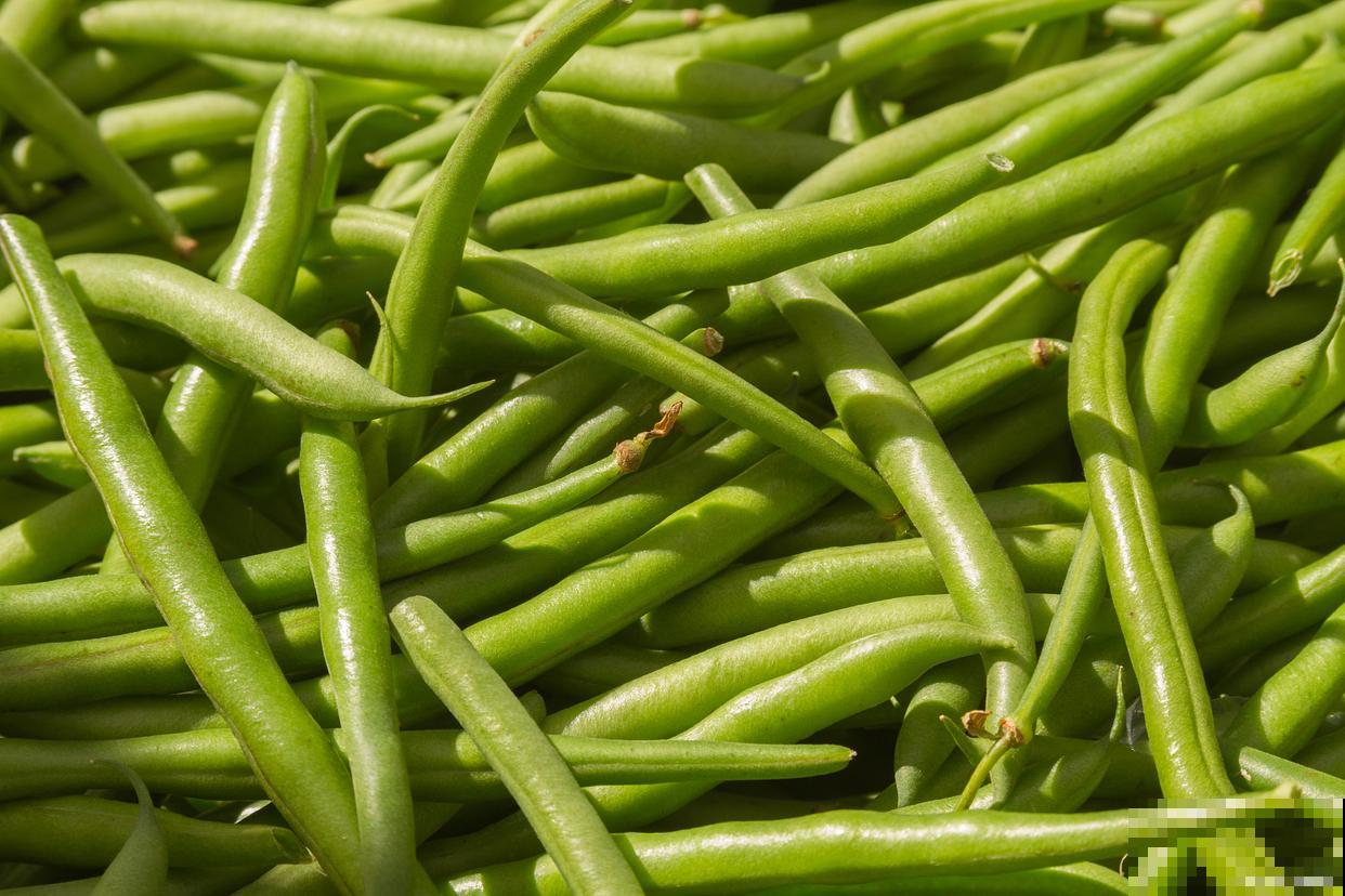 豇豆的种植方法和时间 豇豆的种植方法和时间