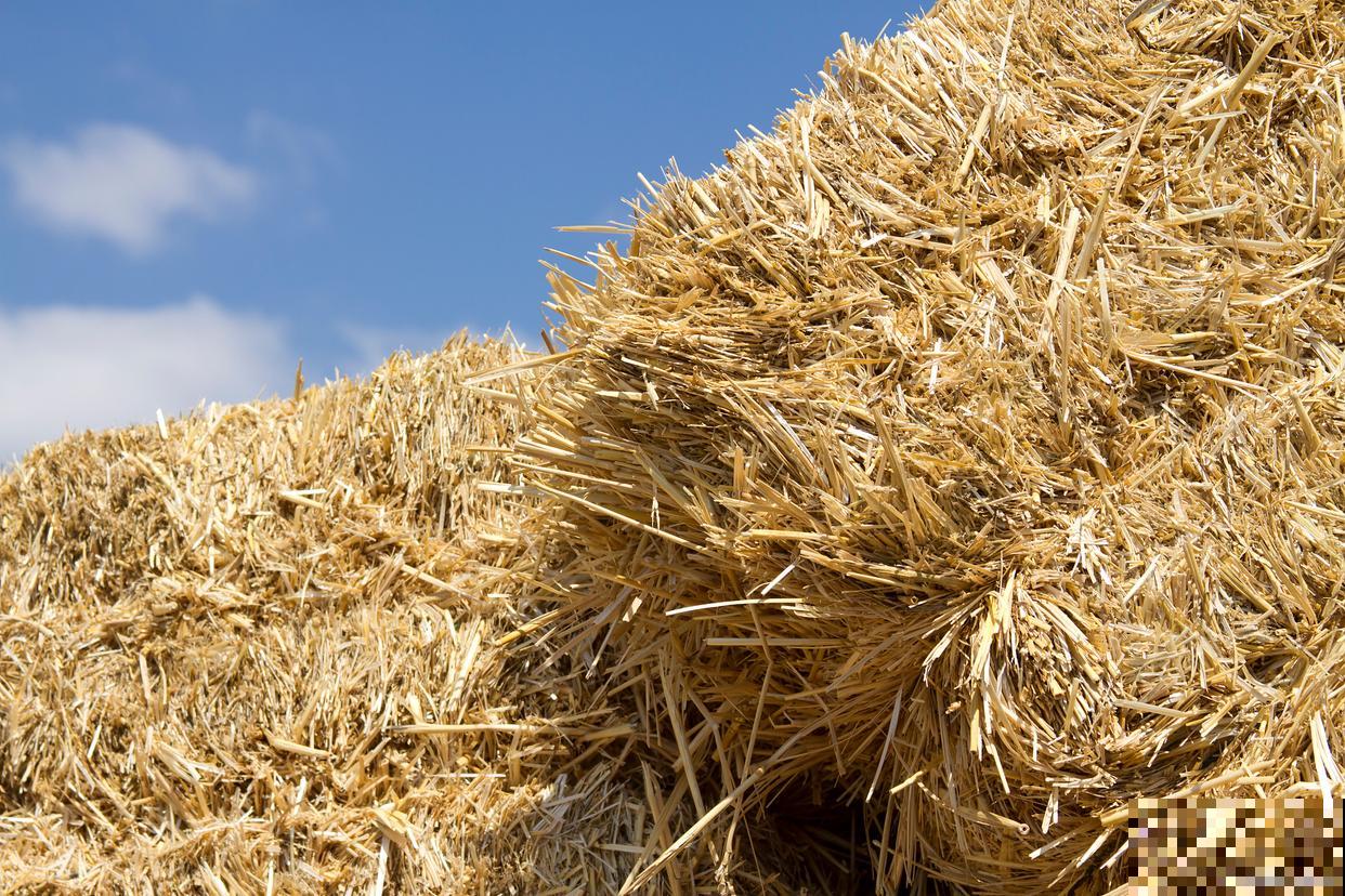 种花下面垫什么? 种花下面垫什么?