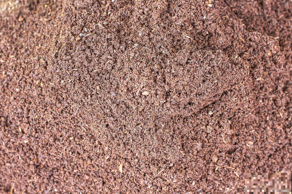 柿子树用什么肥料最好