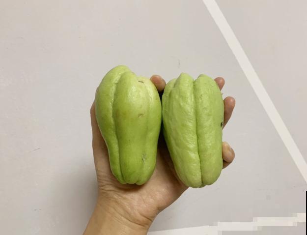 佛手瓜留种简单，知道这4步，轻松处理