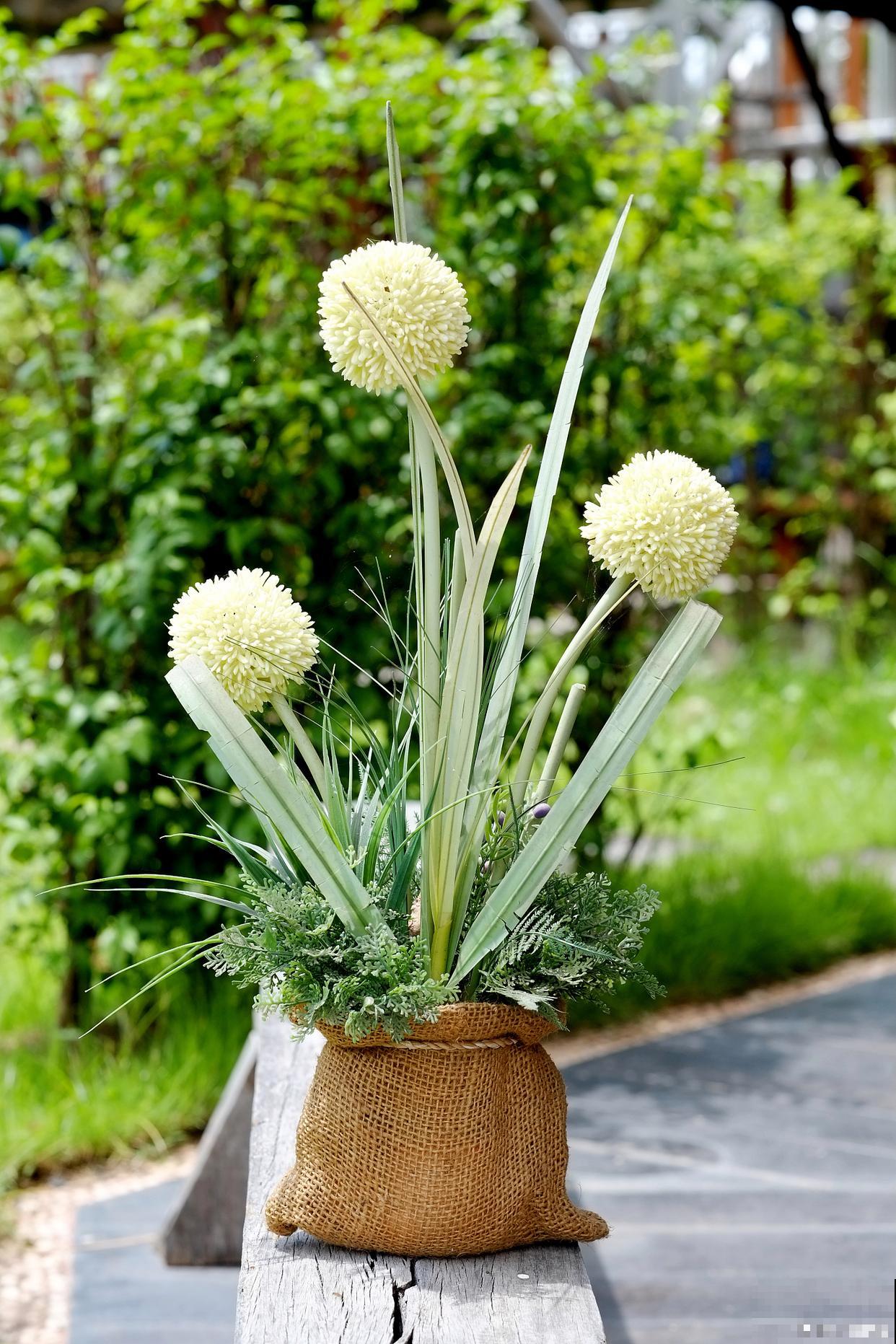 乒乓菊怎么修剪? 乒乓菊怎么修剪?