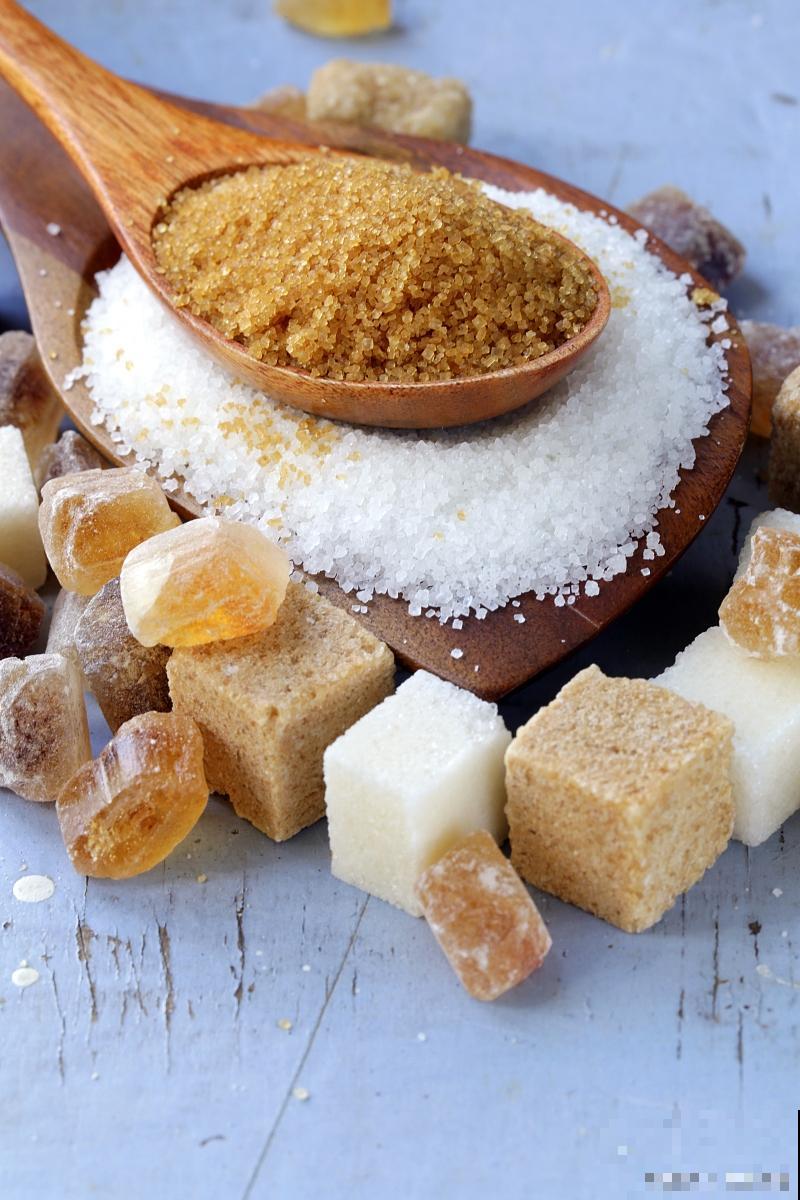 棕榈植物有哪些？