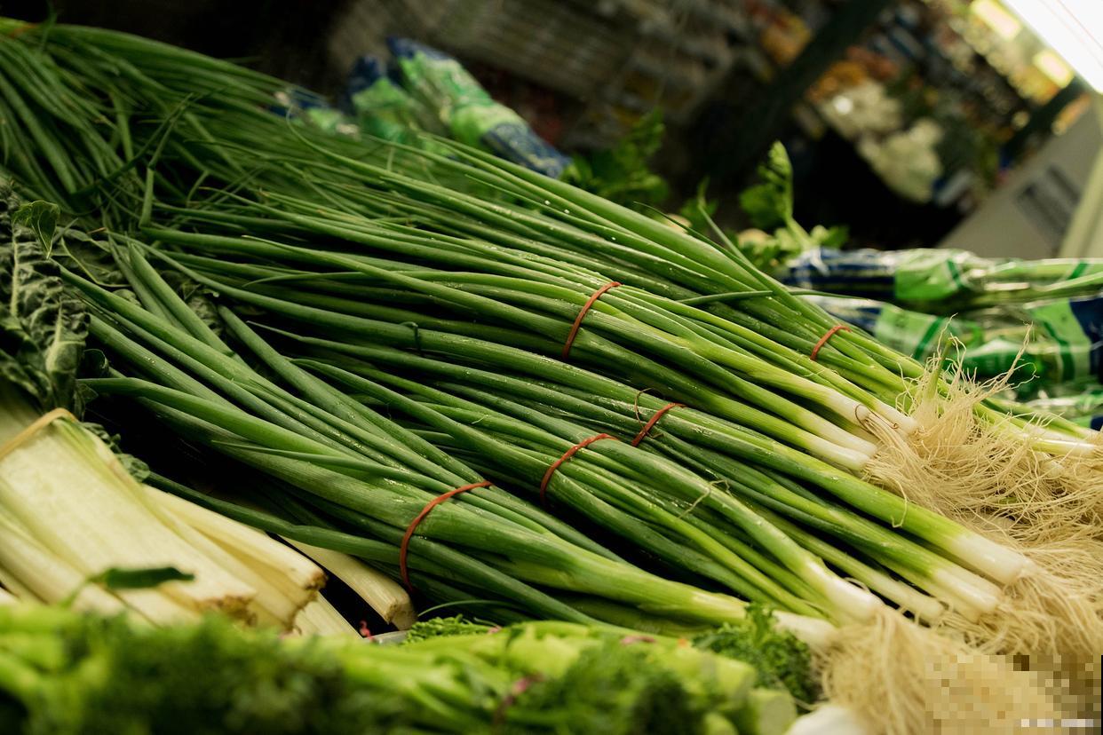 韭菜如何种植方法