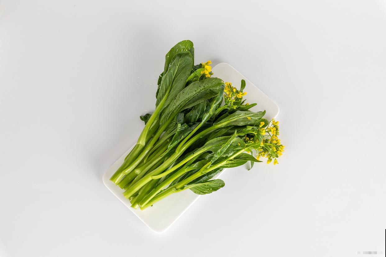 春天种植的蔬菜有哪些