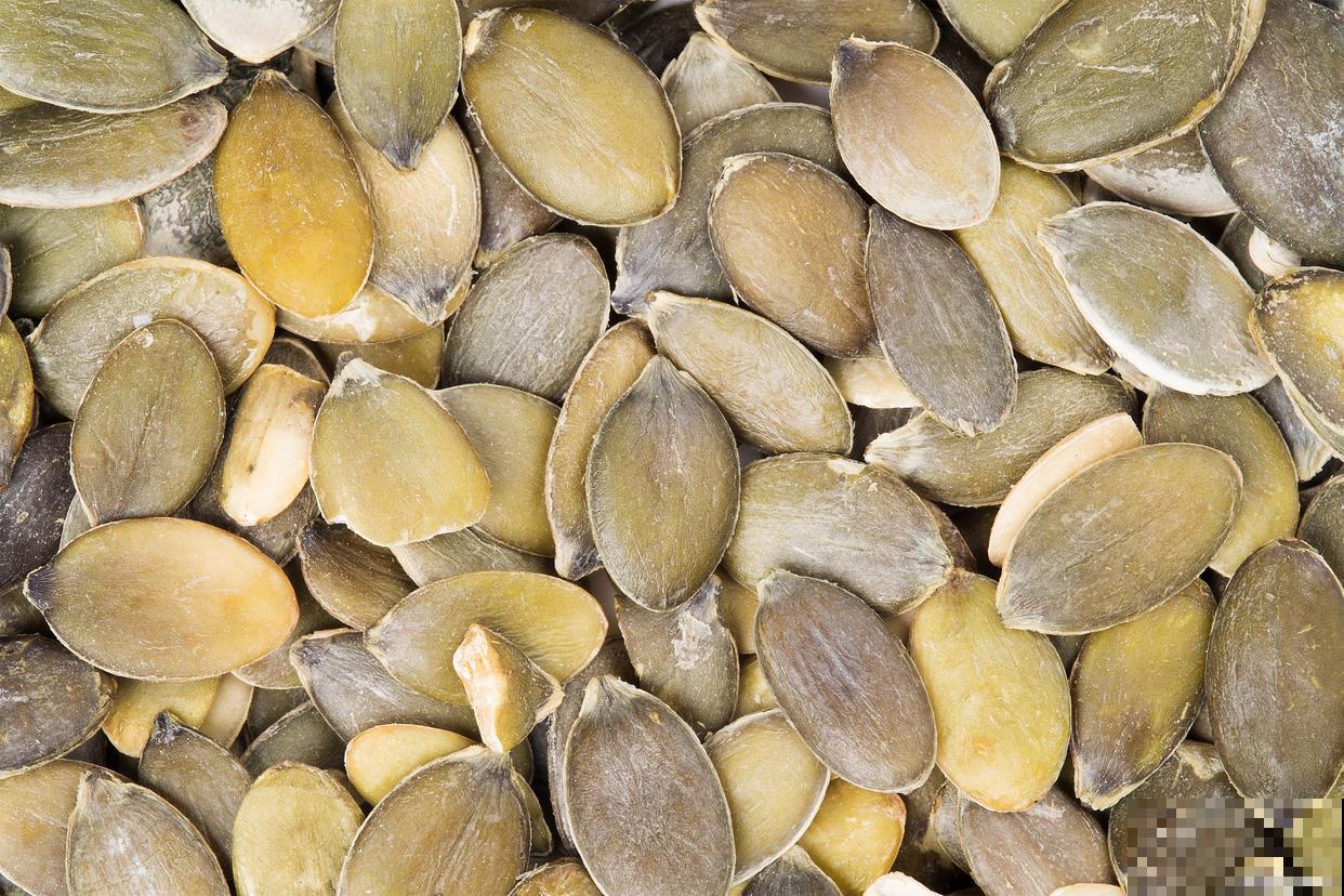 南瓜种子怎么催芽