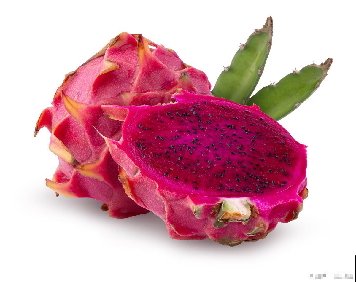 火龙果为什么不结果