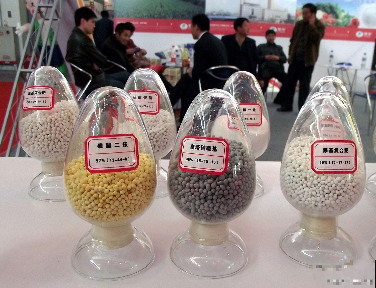 发财树施什么肥？