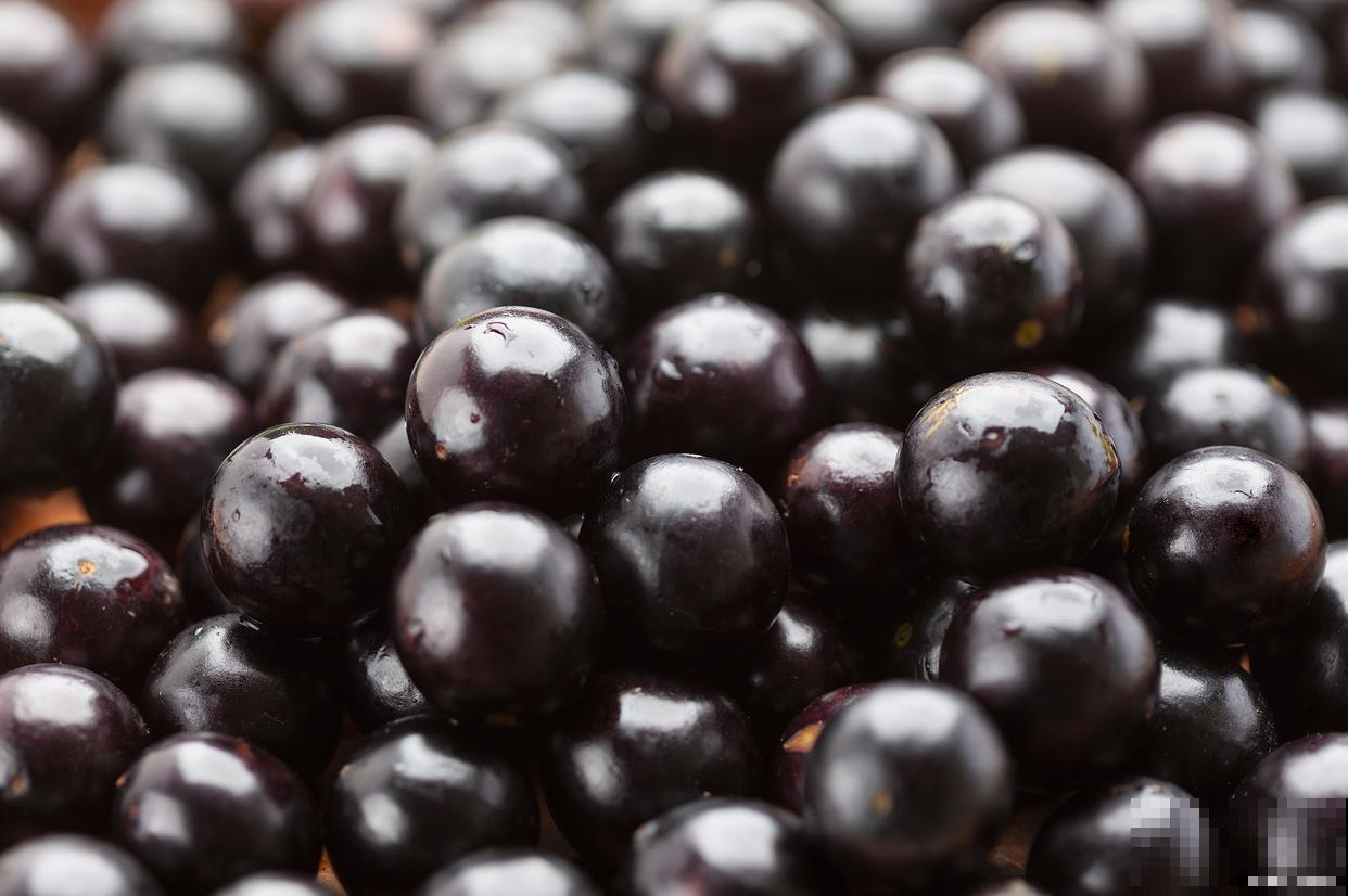 嘉宝果怎样种植长得快又好 嘉宝果怎样种植长得快又好