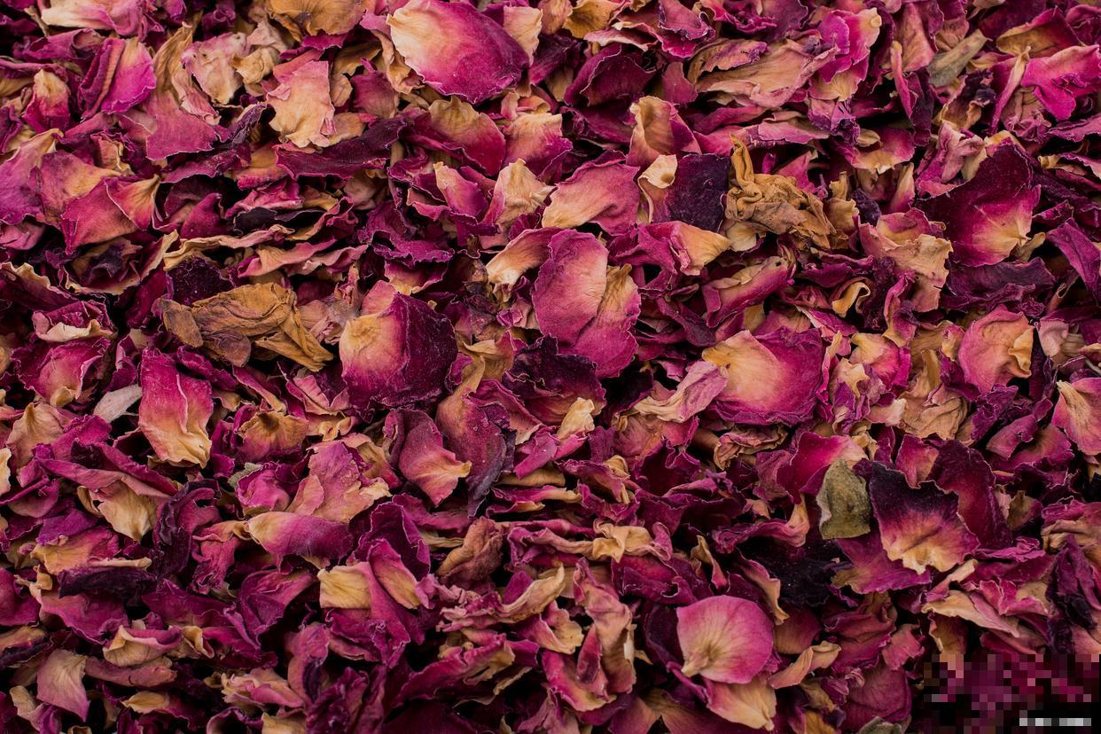 玫瑰花怎么保存成干花 玫瑰花怎么保存成干花