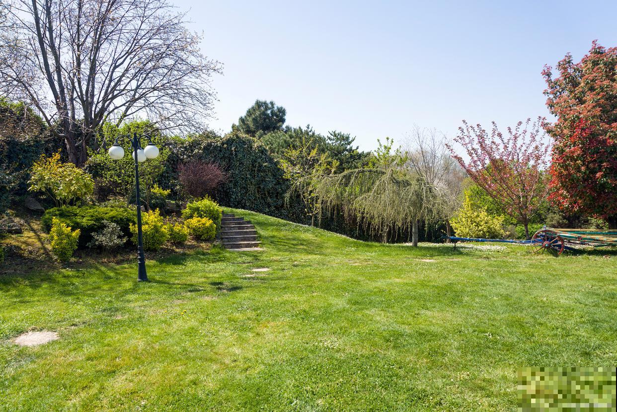 大苍角殿用什么土