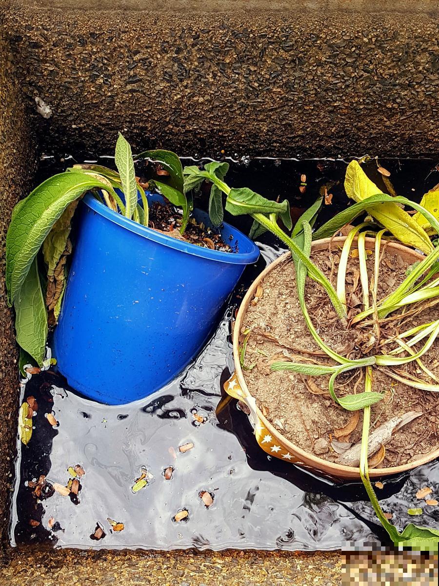 如何判断盆土积水 如何判断盆土积水