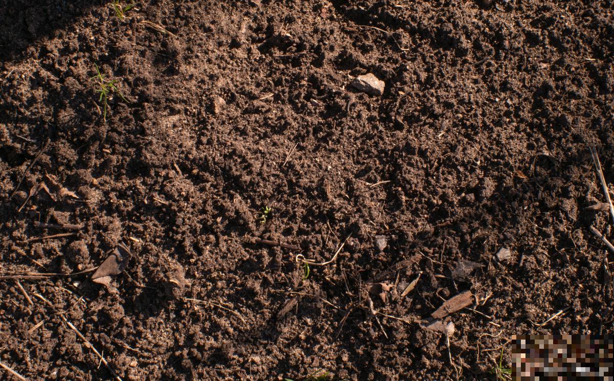 碱性土有哪些种类