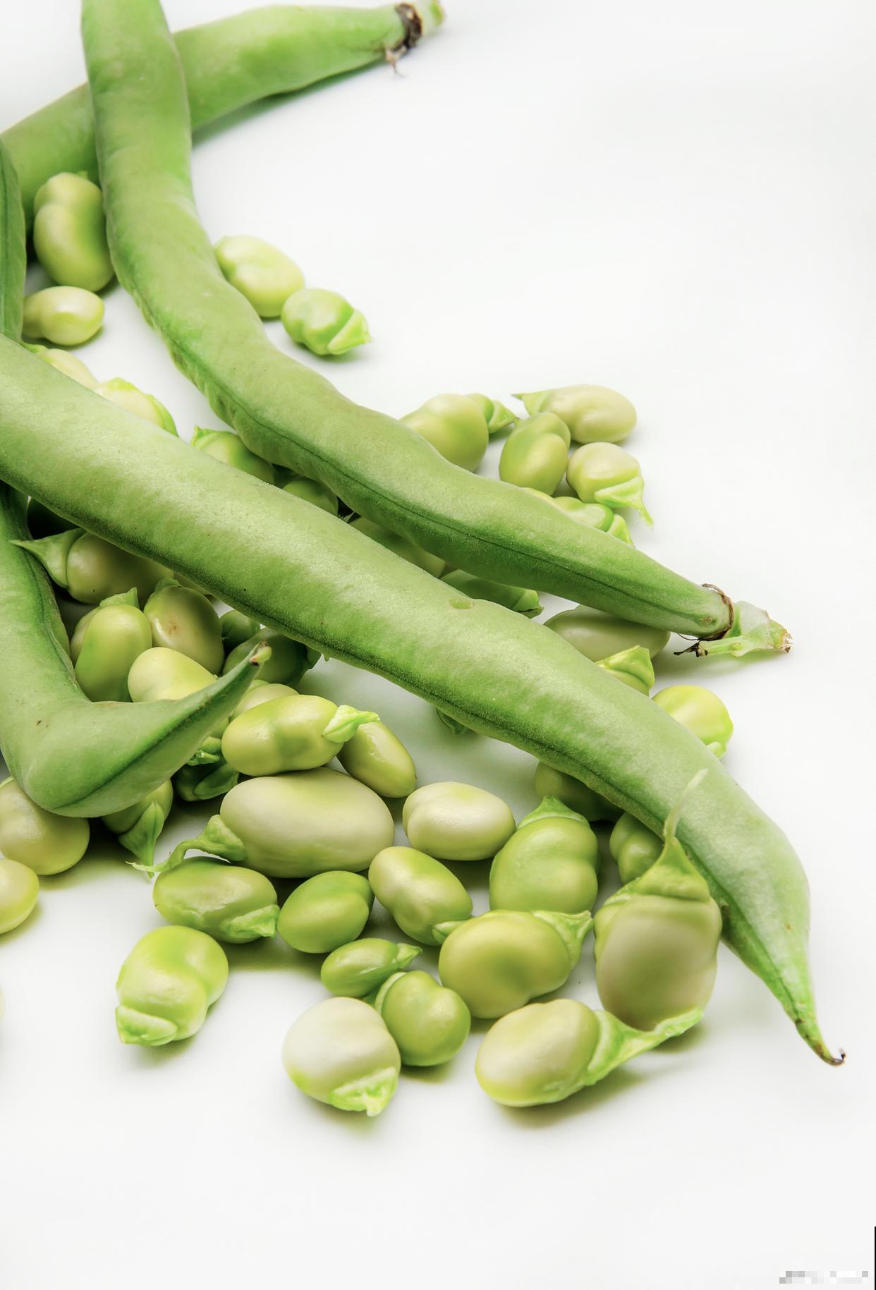 四棱豆的种植方法和时间 四棱豆的种植方法和时间