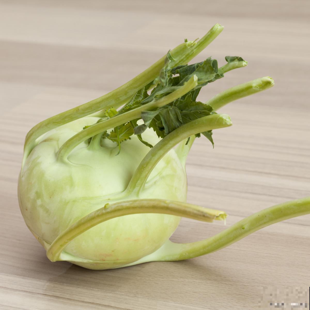 大头菜几月种植几月收