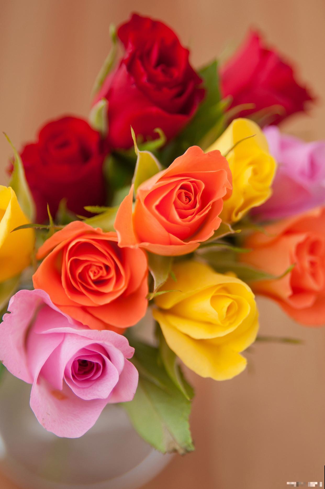 鲜花怎么插瓶好看