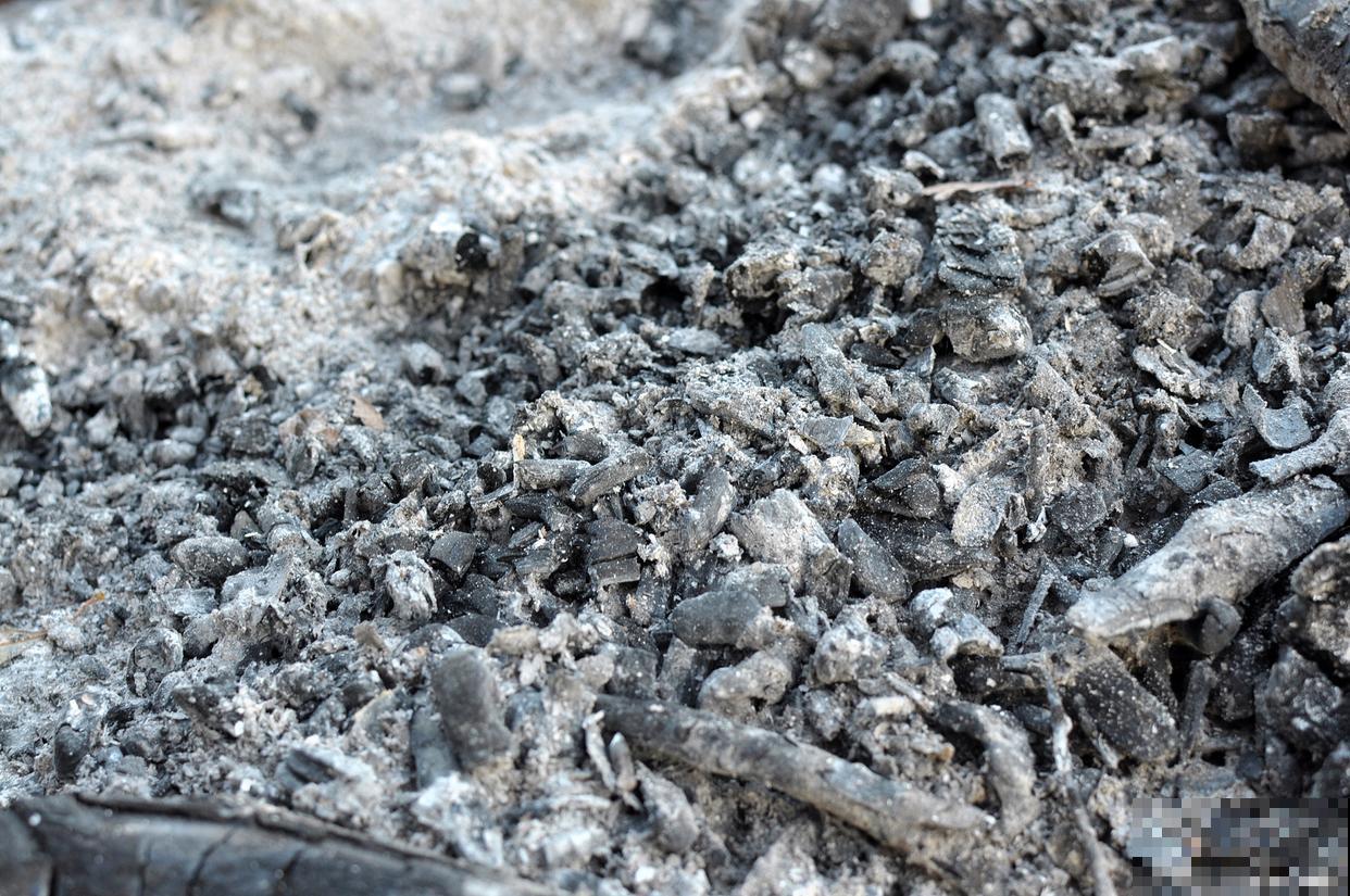 草木灰适合什么植物