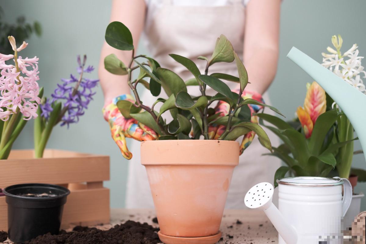 倒盆是什么意思？