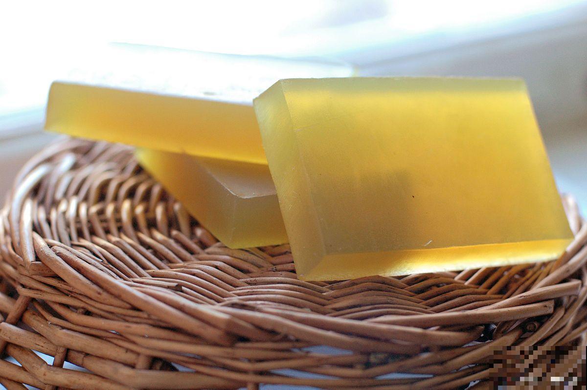 棕榈植物有哪些？