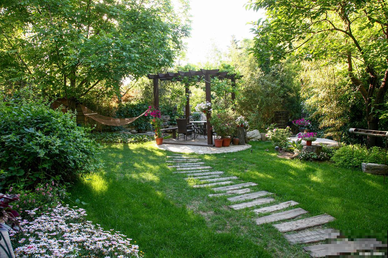 小庭院种什么树最好