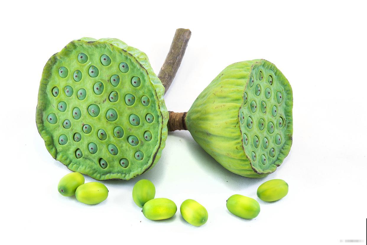 睡莲花怎么种植? 睡莲花怎么种植?