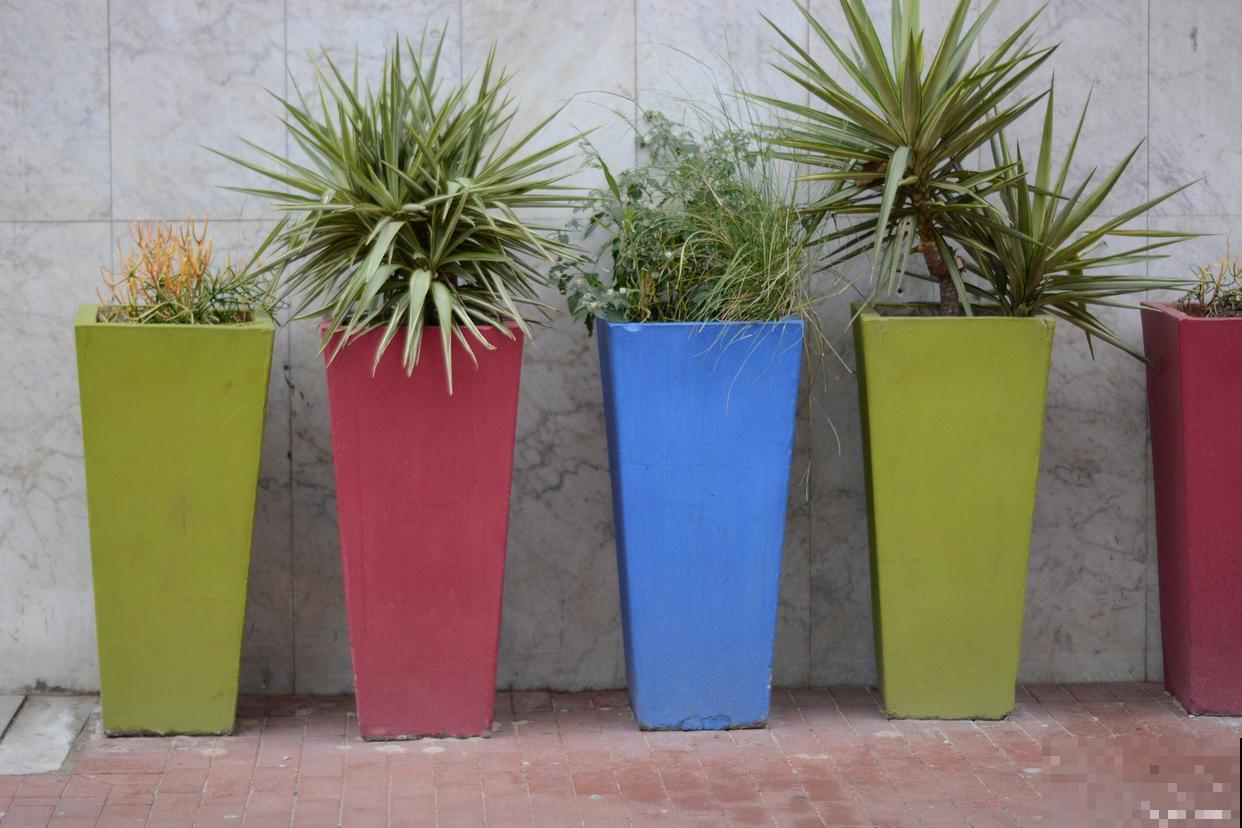 大花盆怎么换土? 大花盆怎么换土?