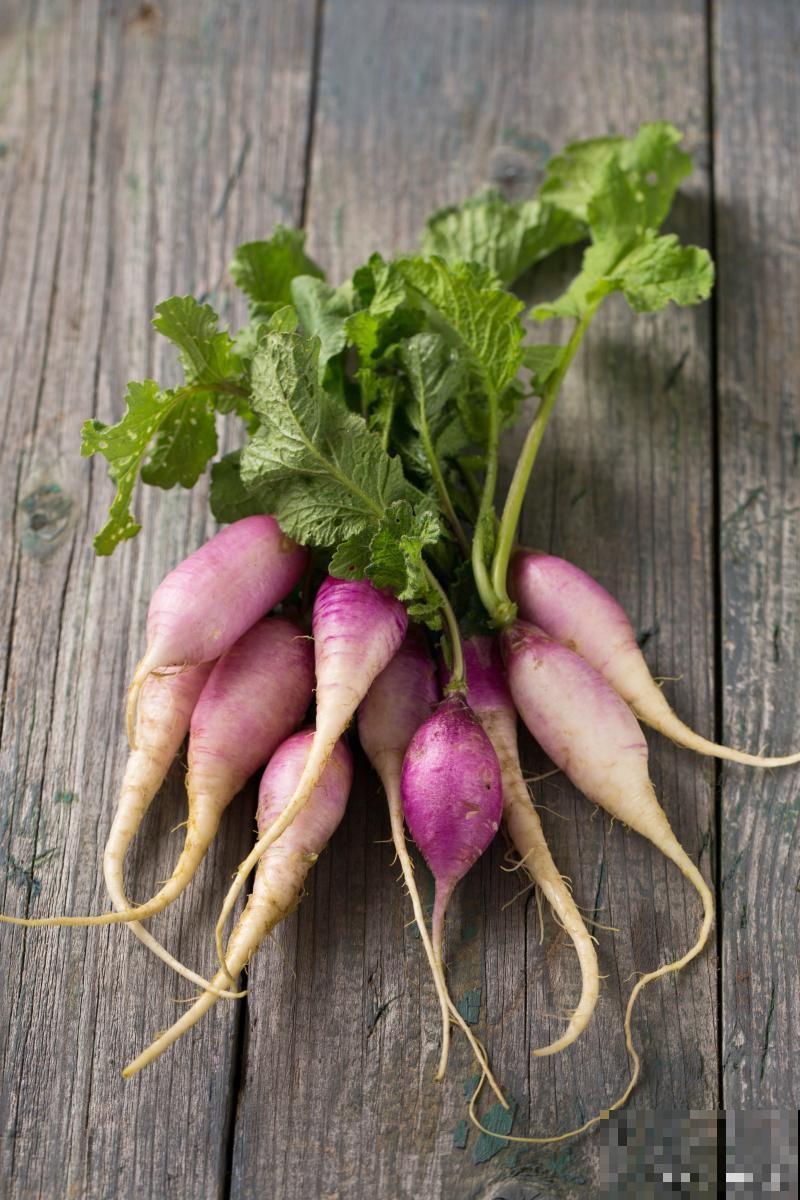 二年生植物有哪些